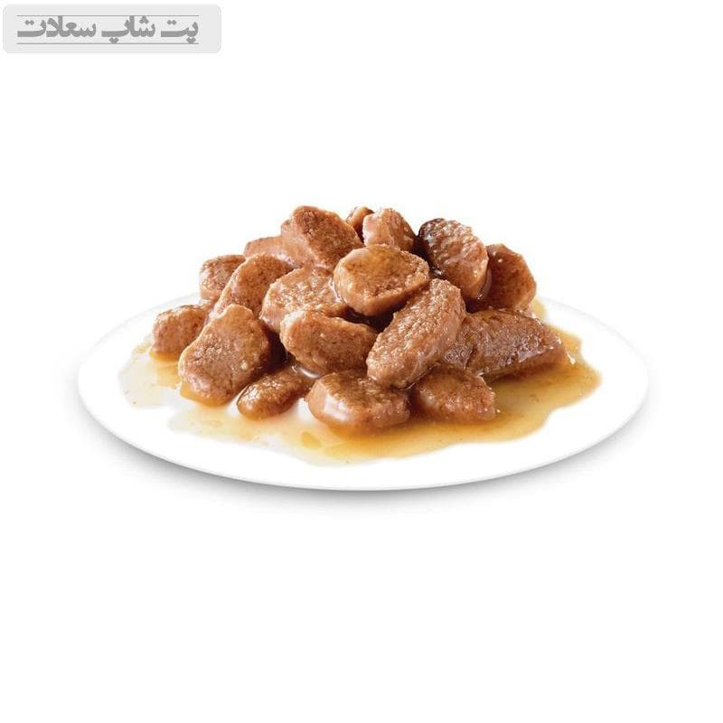 پوچ گربه رویال کنین Royal Canin Instinctive In Gravy وزن 85 گرم — تصویر ۳