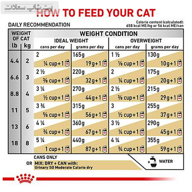 غذای خشک گربه رویال کنین مدل یورینری Royal Canin Urinary S/O وزن 3.5 کیلوگرم — تصویر ۵