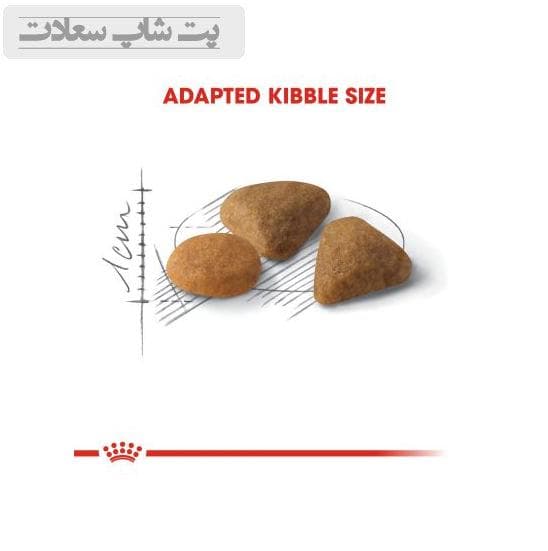 غذای خشک گربه رویال کنین مخصوص گربه بد غذا Royal Canin Savour Exigent وزن 10 کیلوگرم — تصویر ۳