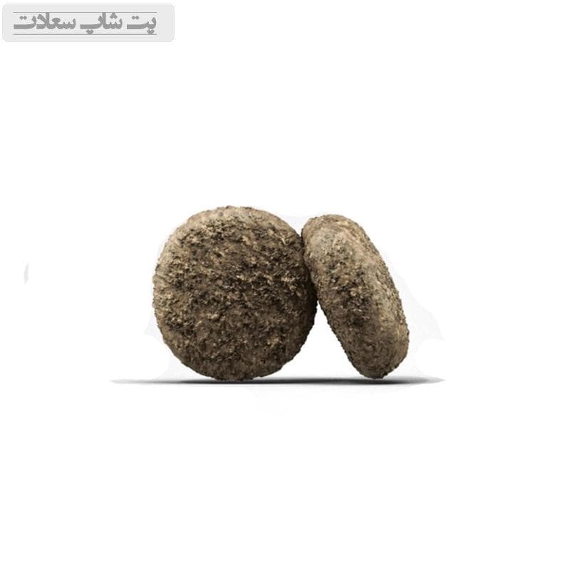 غذای خشک سگ مخصوص مادران باردار و توله جوسرا Josera Family Plus وزن 1 کیلوگرم (فله ای) — تصویر ۲