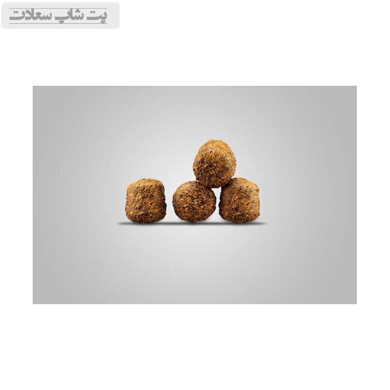 غذای خشک سگ مخصوص مادران باردار و توله جوسرا Josera Family Plus وزن 12.5 کیلوگرم — تصویر ۲