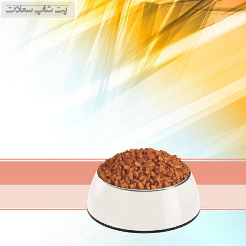 غذای خشک بچه گربه با طعم مرغ و برنج رفلکس Reflex Kitten Chicken & Rice وزن 15 کیلوگرم — تصویر ۳