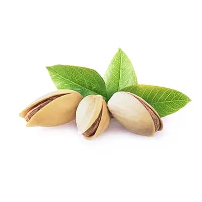 نهال پسته ممتاز