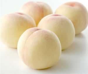 نهال هلو سفید