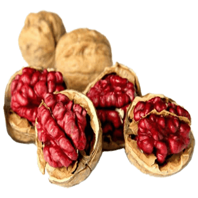 نهال گردو توسرخ