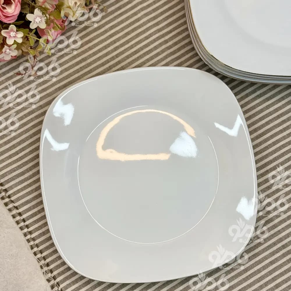 پلو خوری/چینی پردیس 938 — تصویر ۳