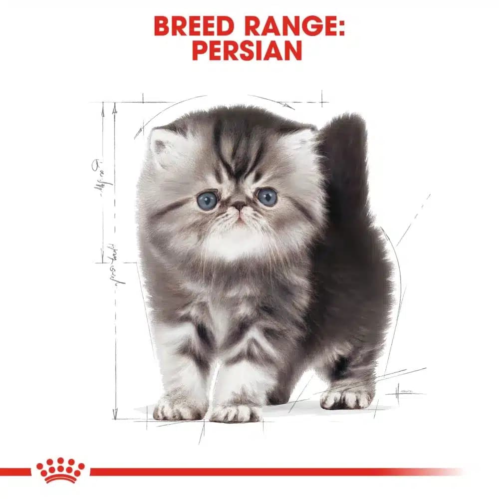 غذای خشک بچه گربه رویال کنین مدل پرشین کیتن 2 کیلوگرم Persian Kitten — تصویر ۴