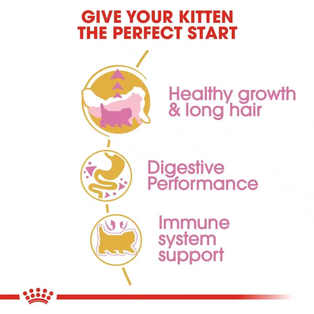 غذای خشک بچه گربه رویال کنین مدل پرشین کیتن 2 کیلوگرم Persian Kitten — تصویر ۷