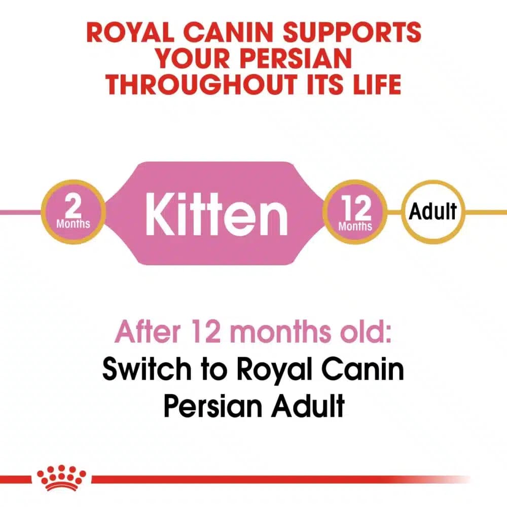 غذای خشک بچه گربه رویال کنین مدل پرشین کیتن 2 کیلوگرم Persian Kitten — تصویر ۶