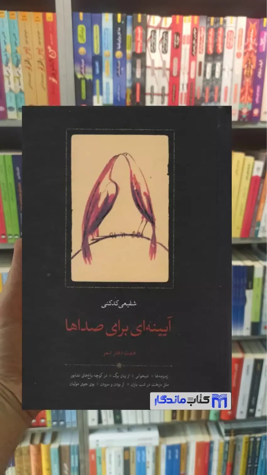 آیینه ای برای صداها شفیعی کدکنی سخن