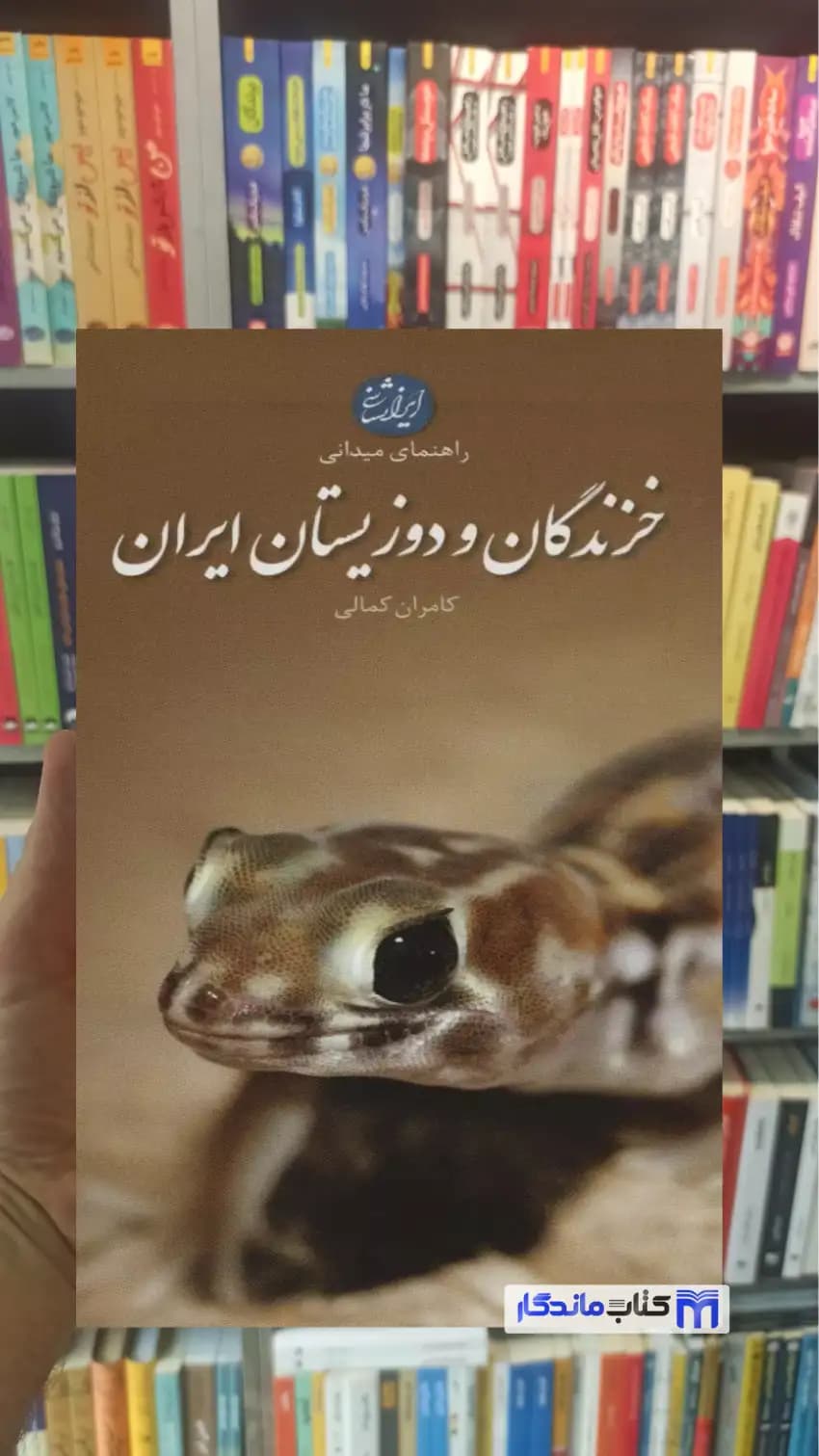 خزندگان و دوزیستان ایران گلاسه کامران کمالی ایران شناسی
