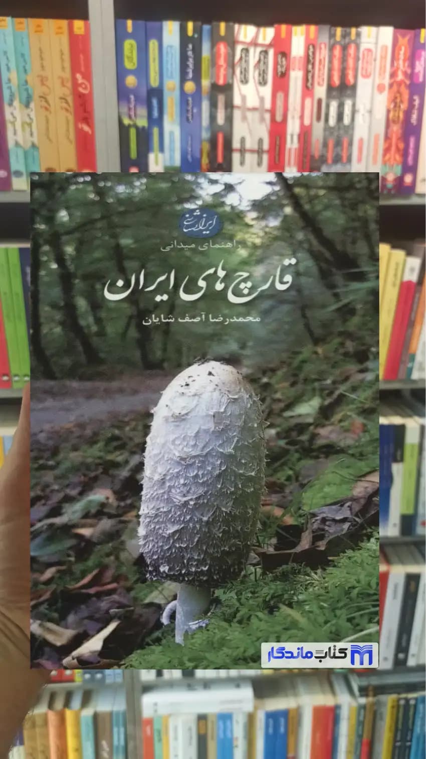 راهنمای میدانی قارچ های ایران گلاسه آصف شایان ایران شناسی