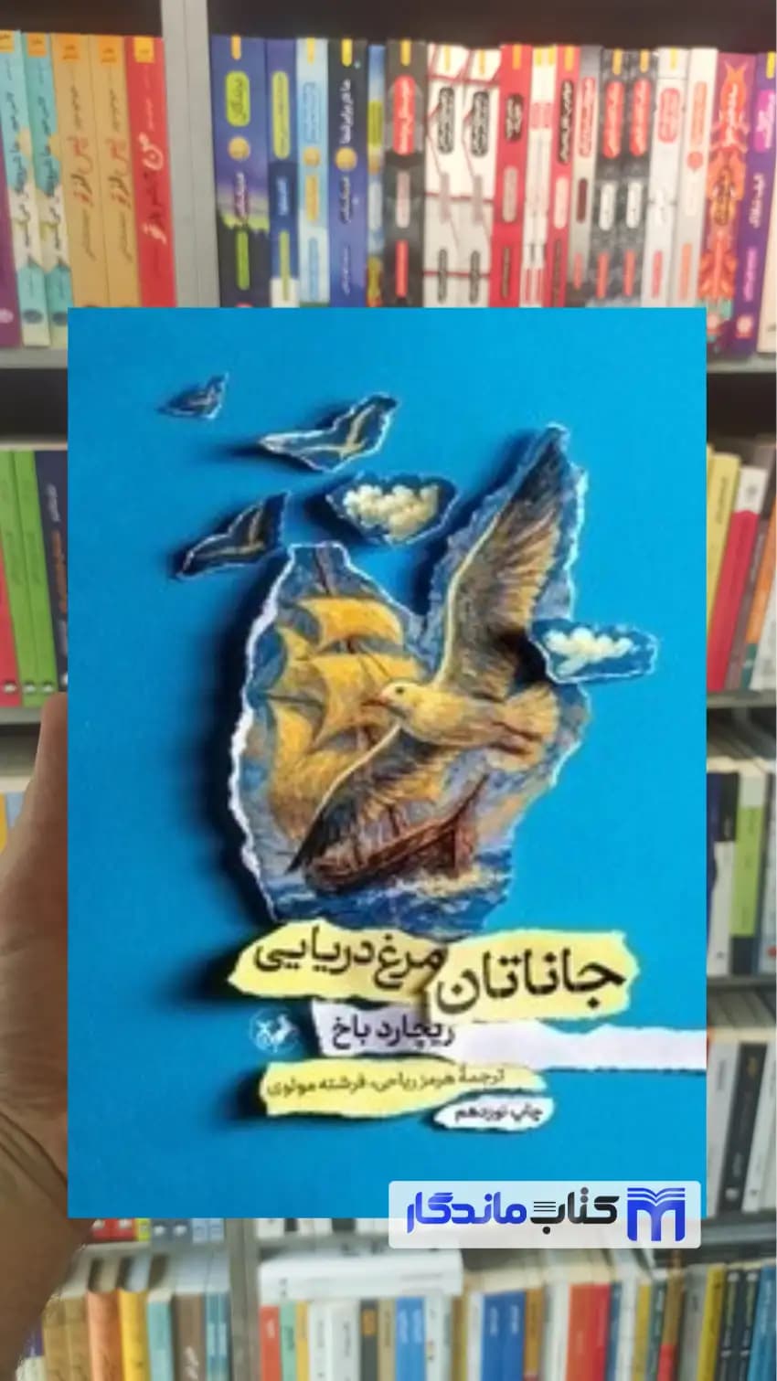 جاناتان مرغ دریایی ریچارد باخ امیرکبیر