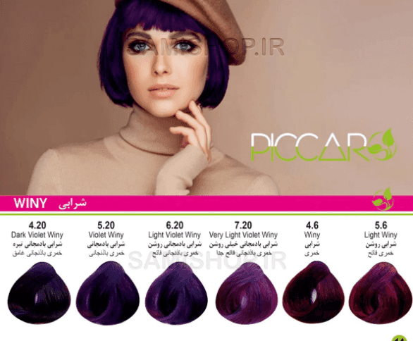 رنگ مو پیکارو شرابی بادمجانی تیره Dark Violet Winy 4.20 — تصویر ۲