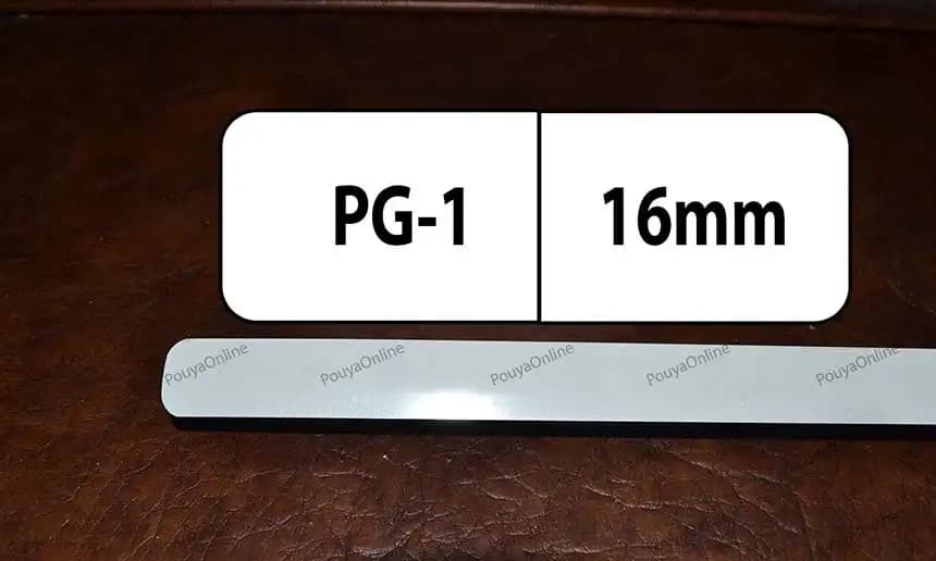 PG-1