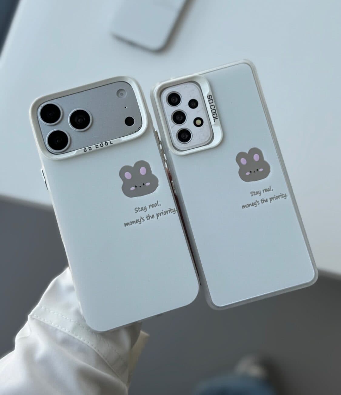 قاب سوکول خرگوش