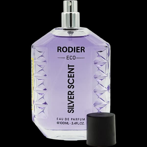 ادوپرفیوم مردانه رودیر اکو مدل سیلور سنت silver scent حجم 100 میلی لیتر — تصویر ۳