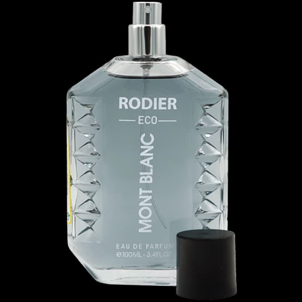 ادوپرفیوم مردانه رودیر اکو مدل مونت بلنک Mont Blanc حجم 100 میلی لیتر — تصویر ۲