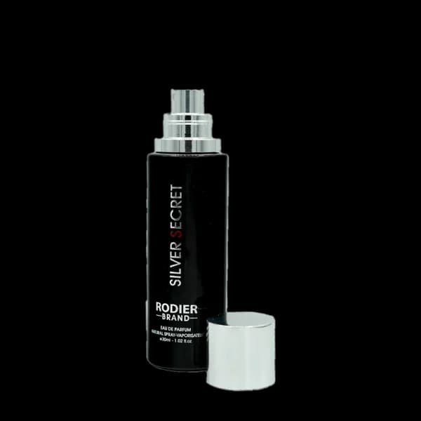 عطر جیبی مردانه رودیر مدل سیلور سکرت Silver Secret حجم 30 میلی لیتر — تصویر ۲
