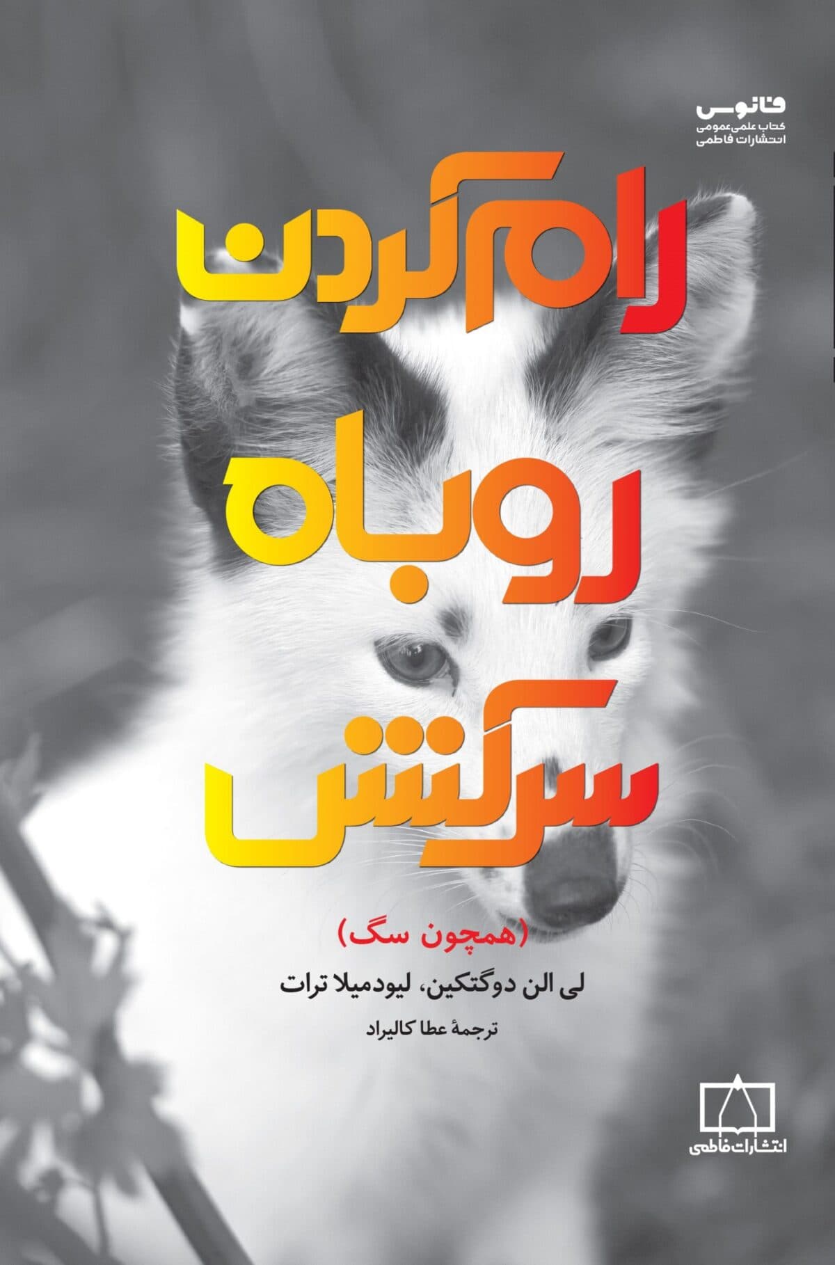 رام کردن روباه سرکش — تصویر ۳