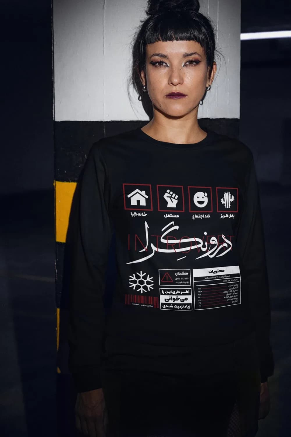 پلیور درونگرا — تصویر ۵