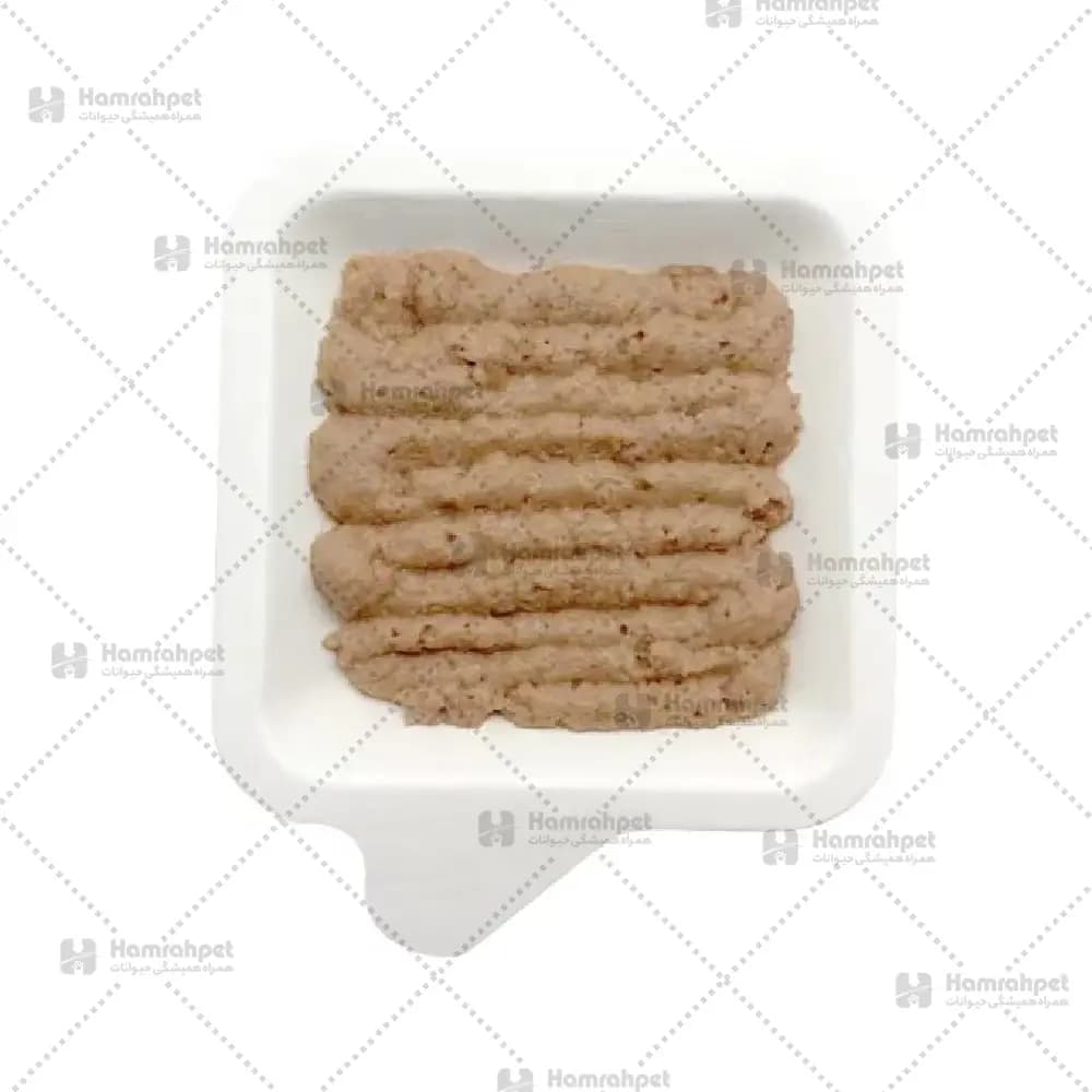 پودینگ گربه طعم مرغ و علف گربه فنبی وزن 90 گرم — تصویر ۲