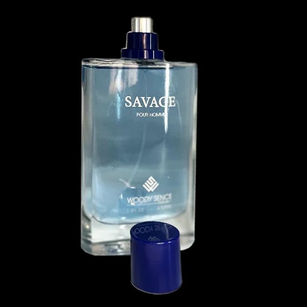 ادو پرفیوم مردانه وودی سنس مدل ساواج Savage حجم 100 میلی لیتر — تصویر ۲