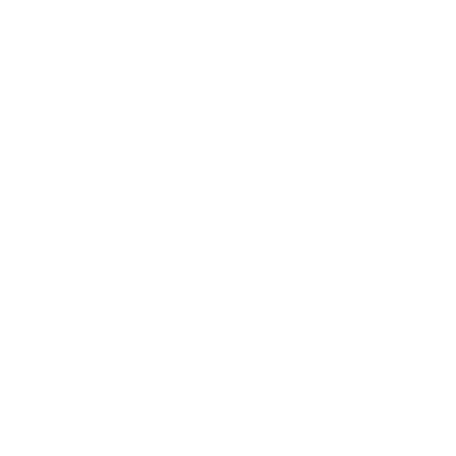 Bhangra Boogie