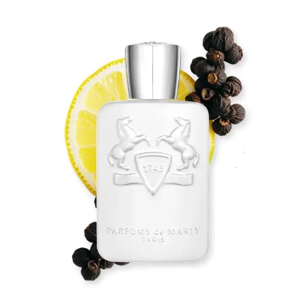 عطر یونیسکس پرفیومز د مارلی گالووی ادو پرفیوم Parfums de Marly Galloway Eau de Parfum — تصویر ۳