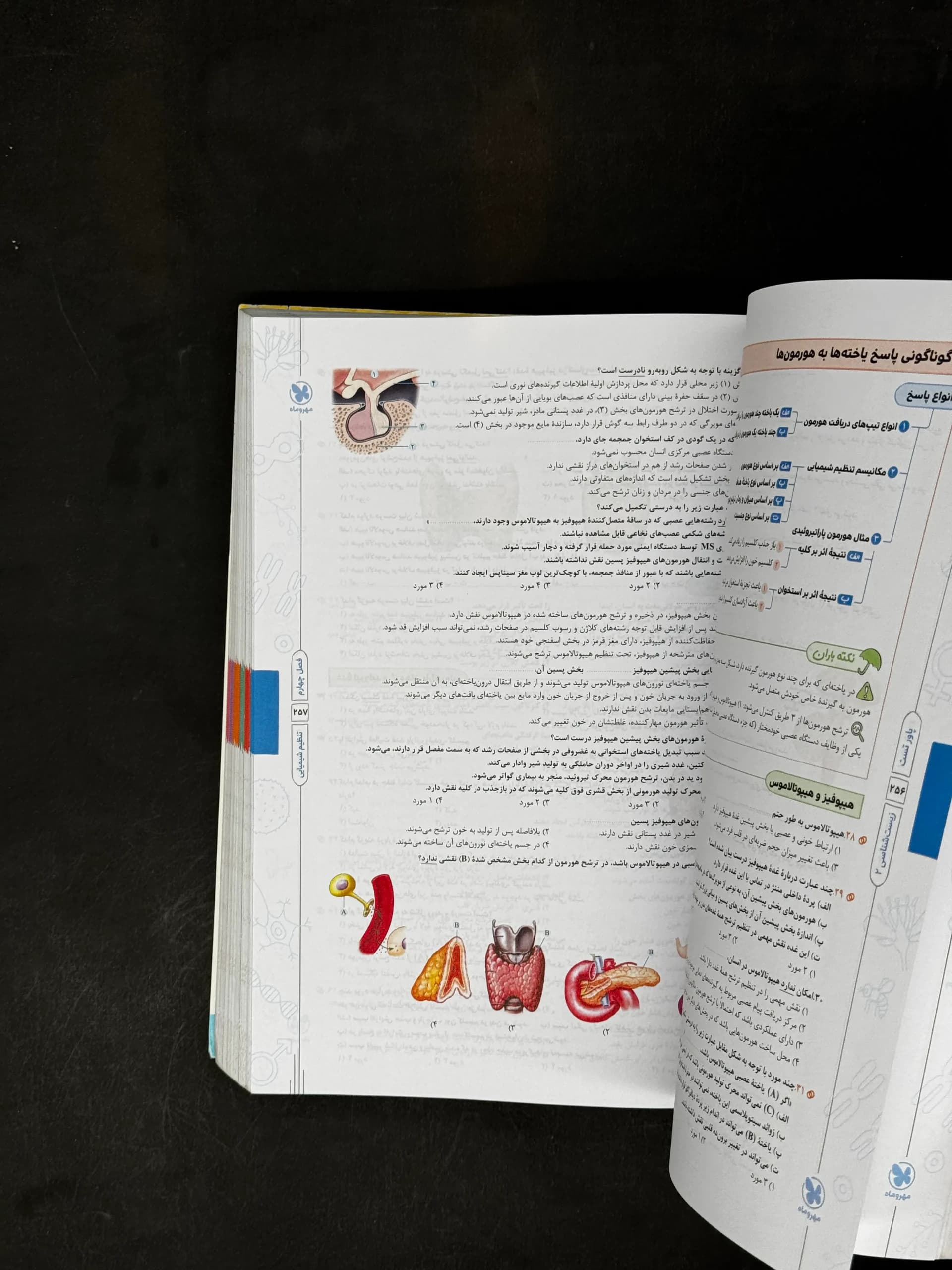کتاب پاور تست زیست یازدهم مهروماه (دست دوم) — تصویر ۳