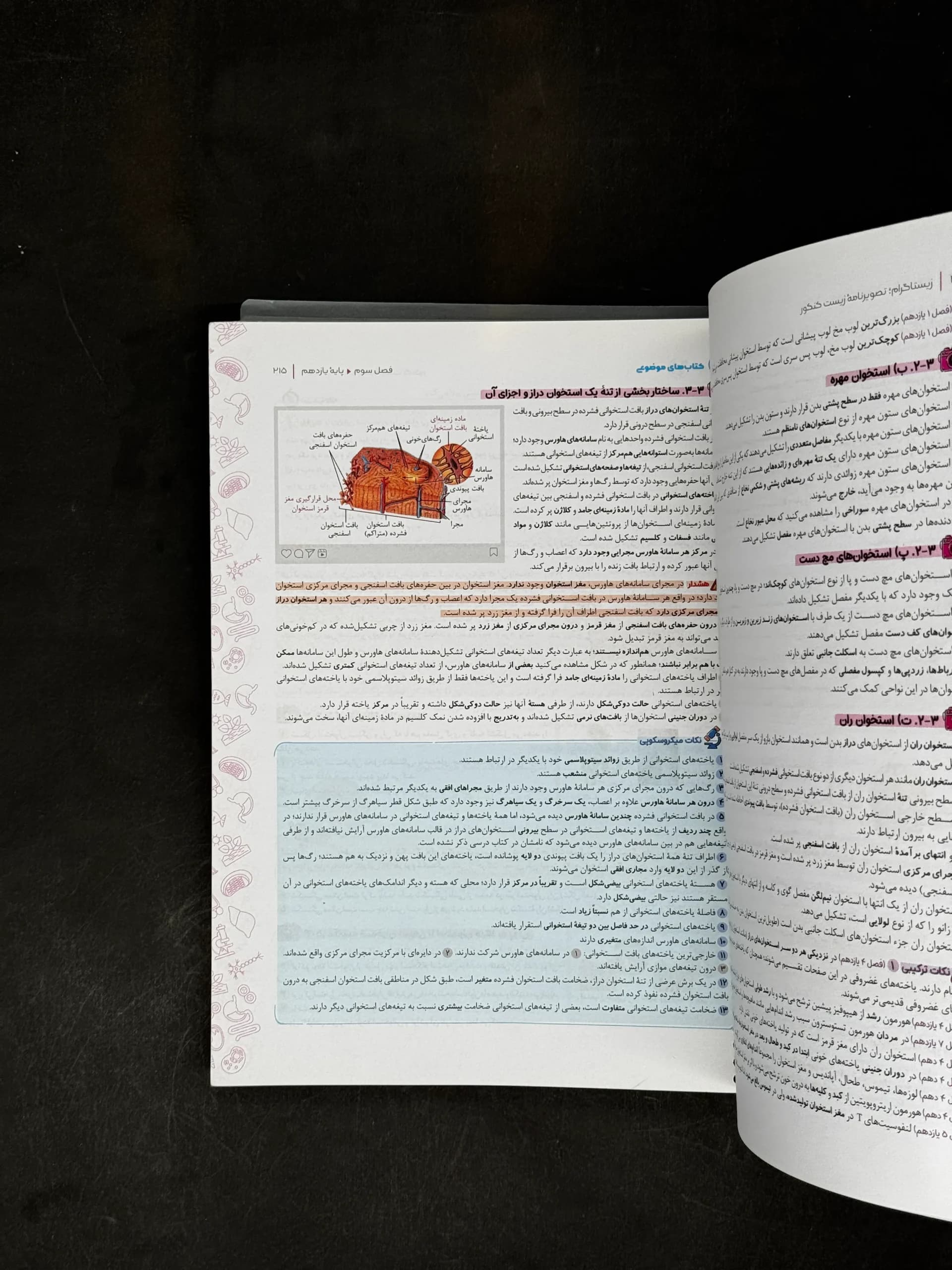 کتاب زیستاگرام مهروماه :تصویرنامه زیست شناسی کنکور (دست دوم) — تصویر ۲
