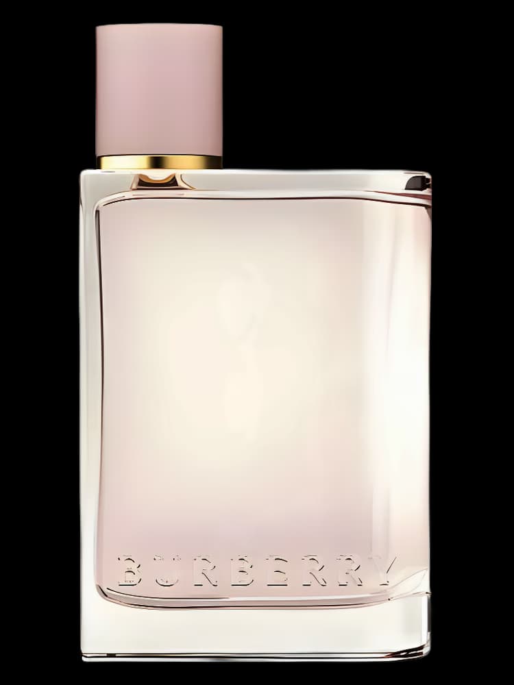 باربری هر | Burberry Her