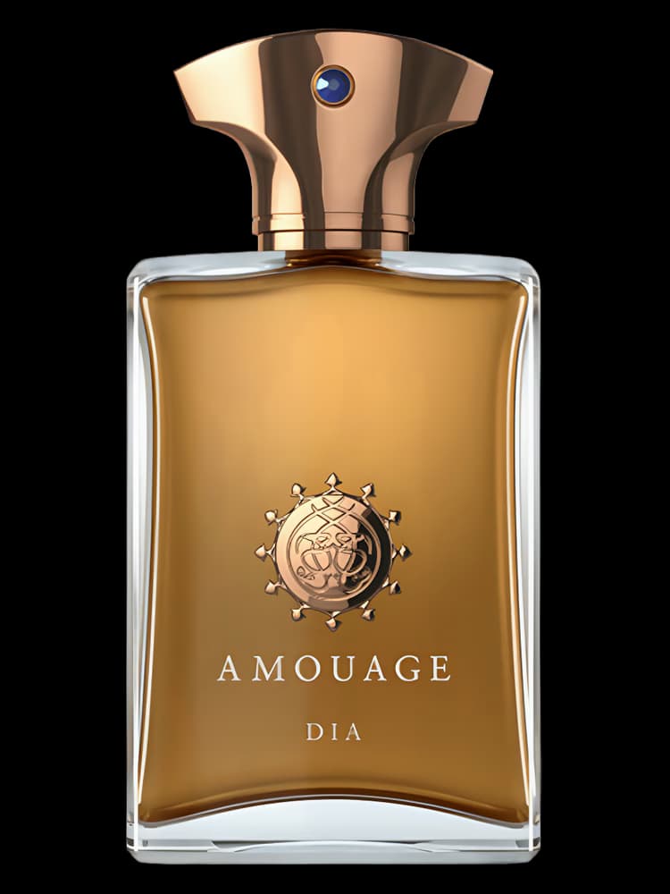 آمواج دیا پور هوم | Amouage Dia pour Homme