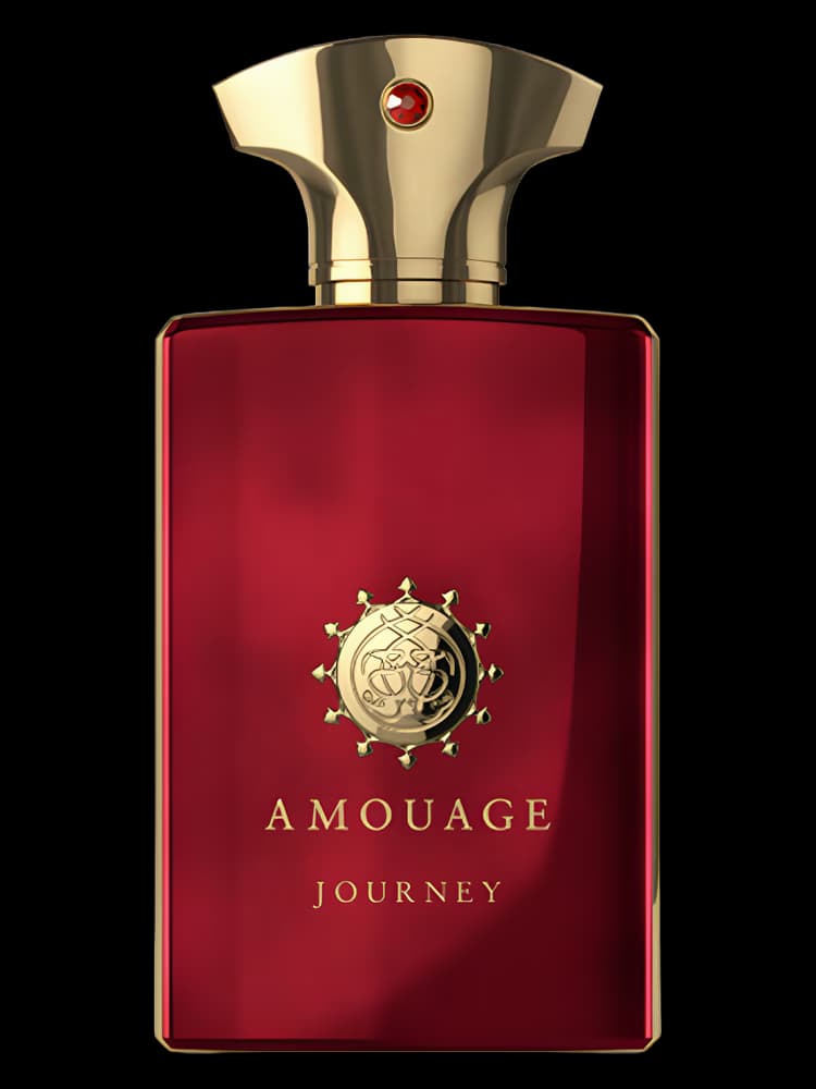 آمواج جورنی مردانه | Amouage Journey Man