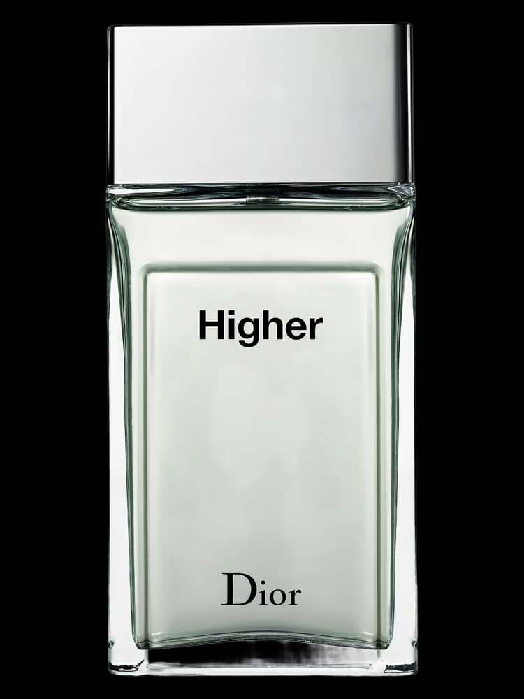 دیور هایر | Dior Higher