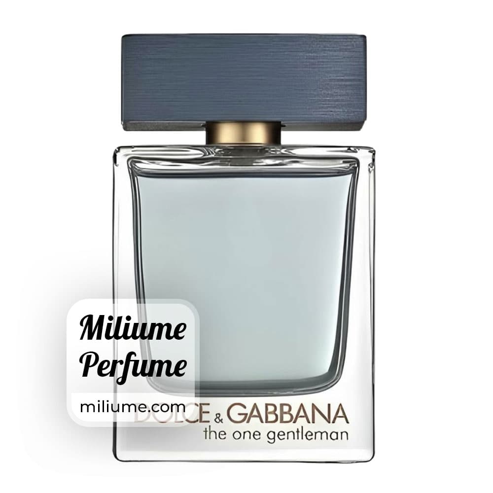 عطر دولچه گابانا د وان جنتلمن مردانه | dolce gabbana the one gentleman men | برند RenneTouch