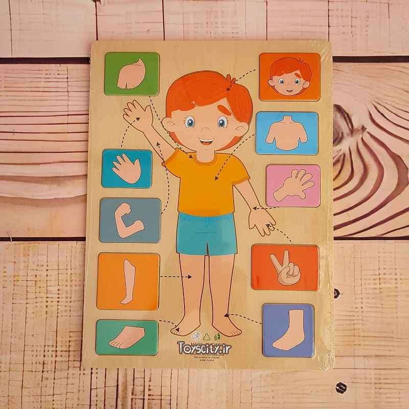 پازل اعضای بدن آ4 کد 2 ///