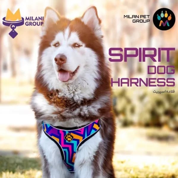 قلاده کتفی سگ میلان پت مدل اسپریت Spirit Milanpet