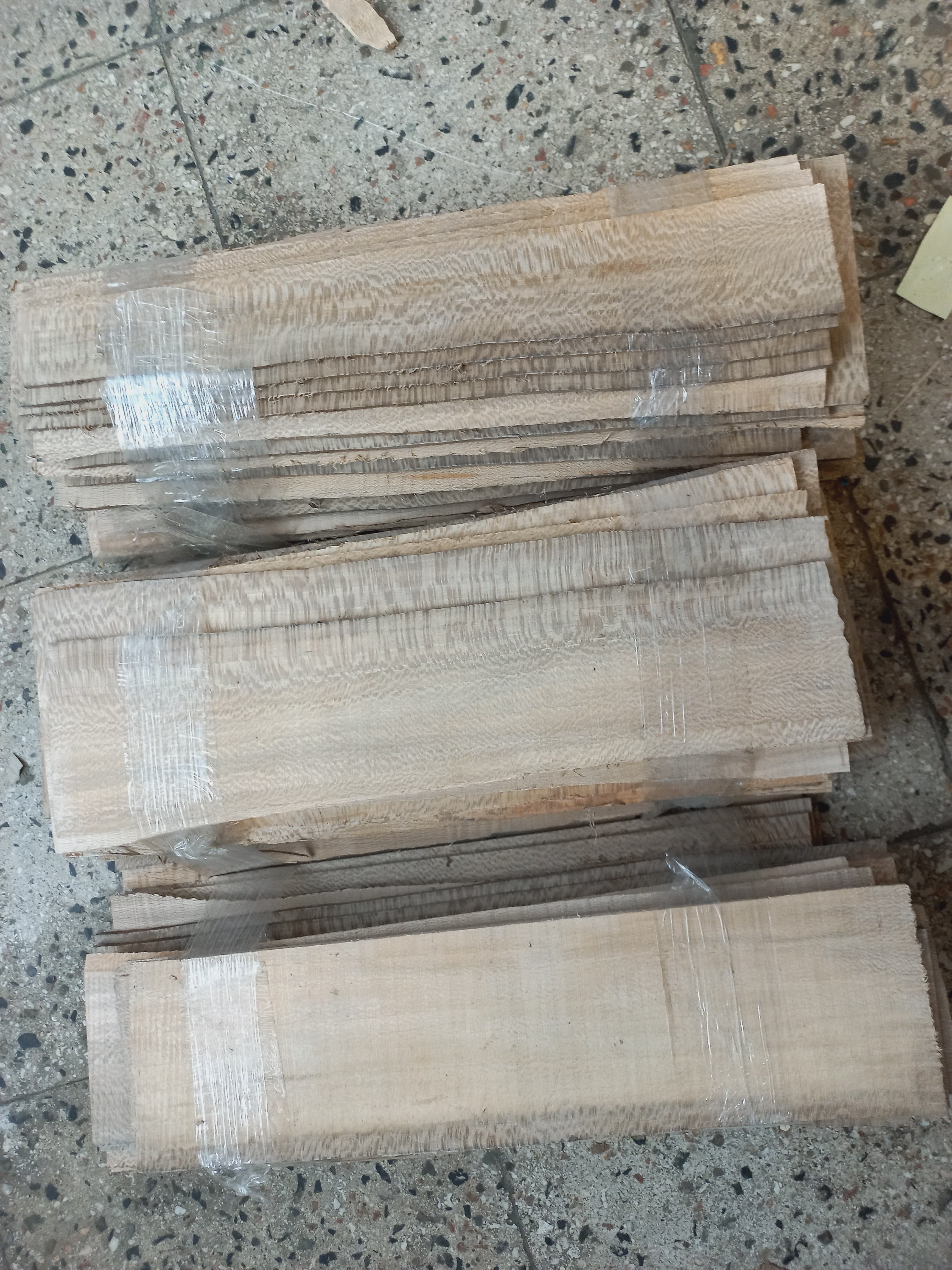 چنار پرمگسی خاص