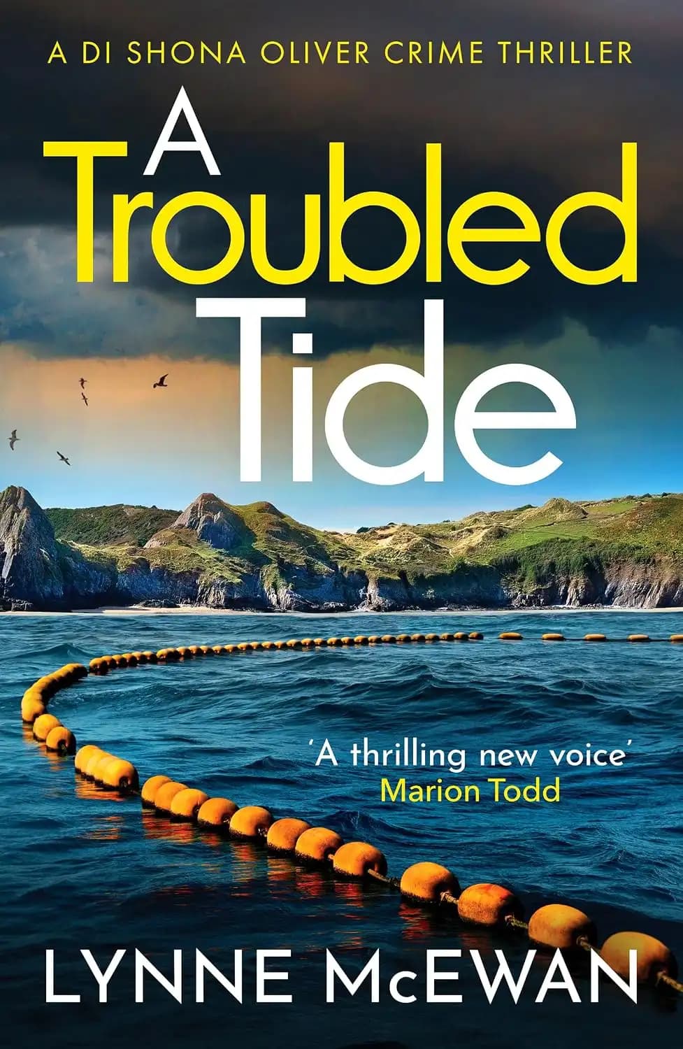 کتاب جزر و مدی آشفته (A Troubled Tide) نسخه انگلیسی PDF | لین مکایوان — تصویر ۲