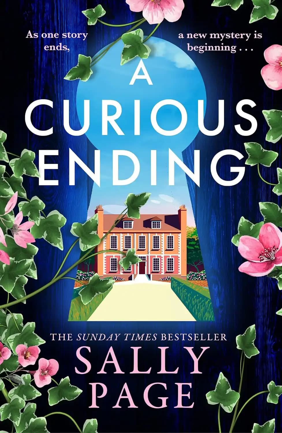کتاب پایانی کنجکاوی‌برانگیز (A Curious Ending) نسخه انگلیسی PDF | سالی پیج