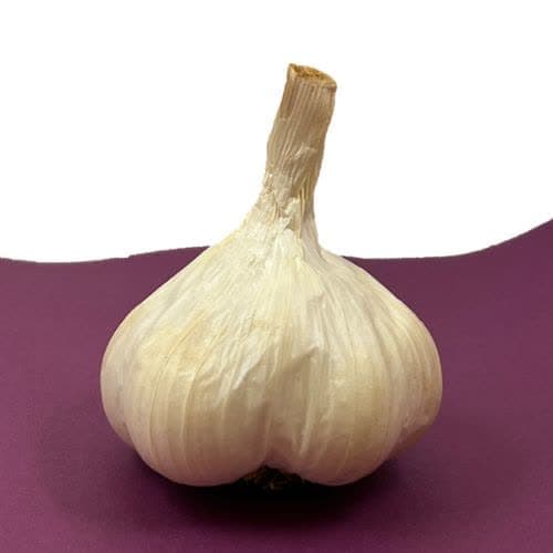 سیر همدان 1 کیلویی