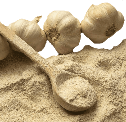 پودر سیر همدان 100 گرمی(100% خالص)