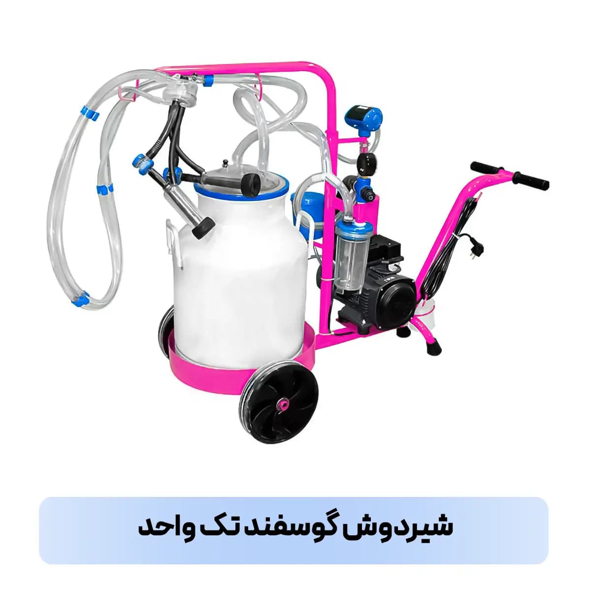 شیردوش تک واحد گوسفندی