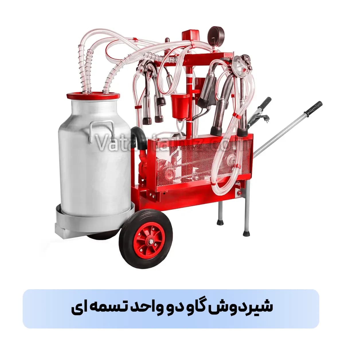 شیردوش دو واحد گاوی تسمه ای
