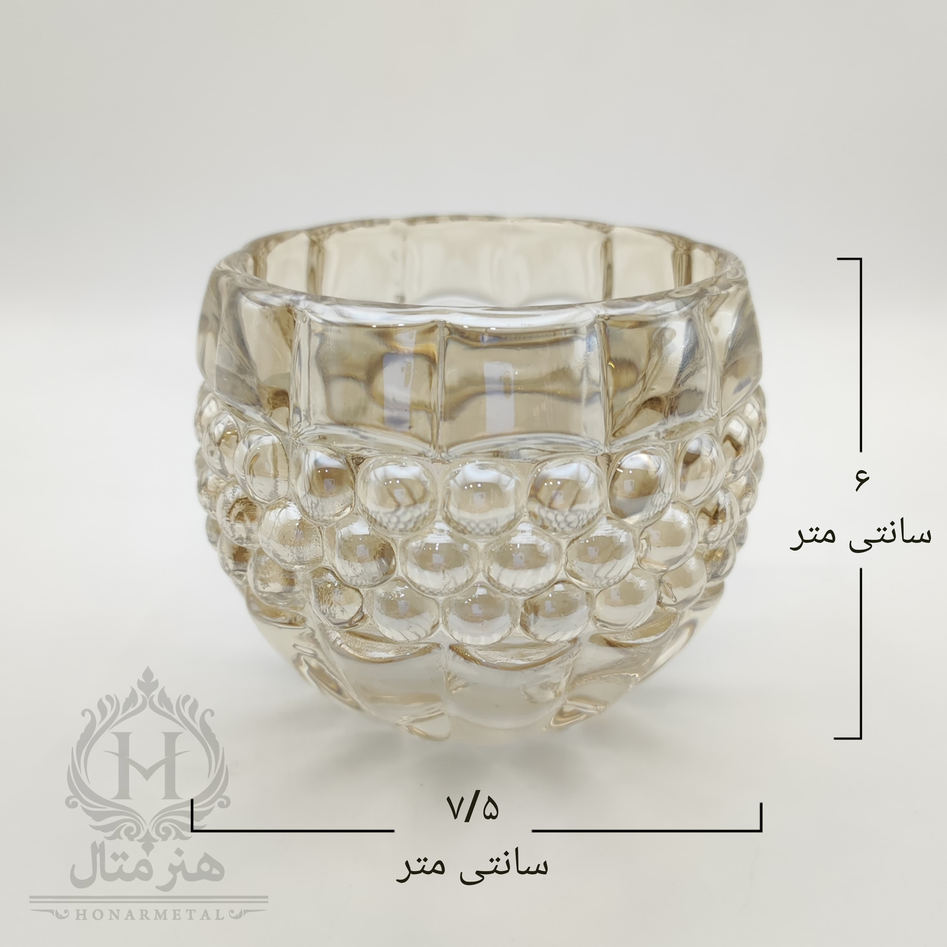 لاله ساچمهای کوچک شامپاینی