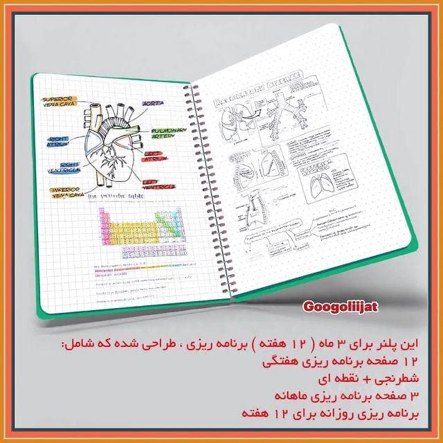 پلنر هفتگی رستا — تصویر ۷