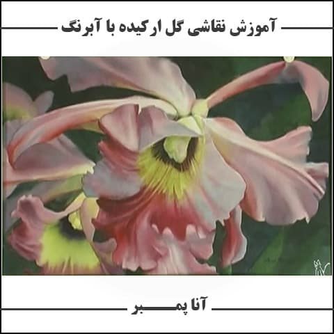 آموزش نقاشی گل ارکیده با آبرنگ – آنا پمبر : نسخه دانلودی
