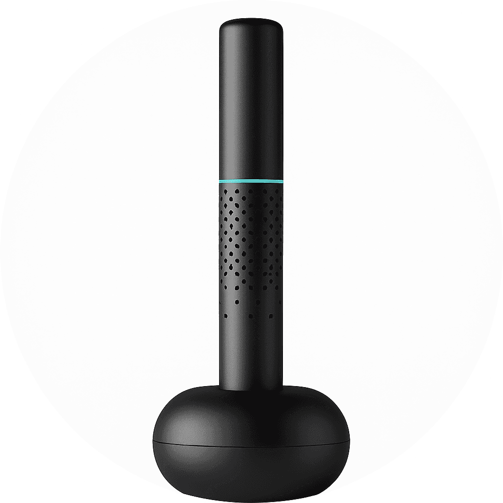 گوش پاک کن هوشمند Bebird EarSight Cleaner
