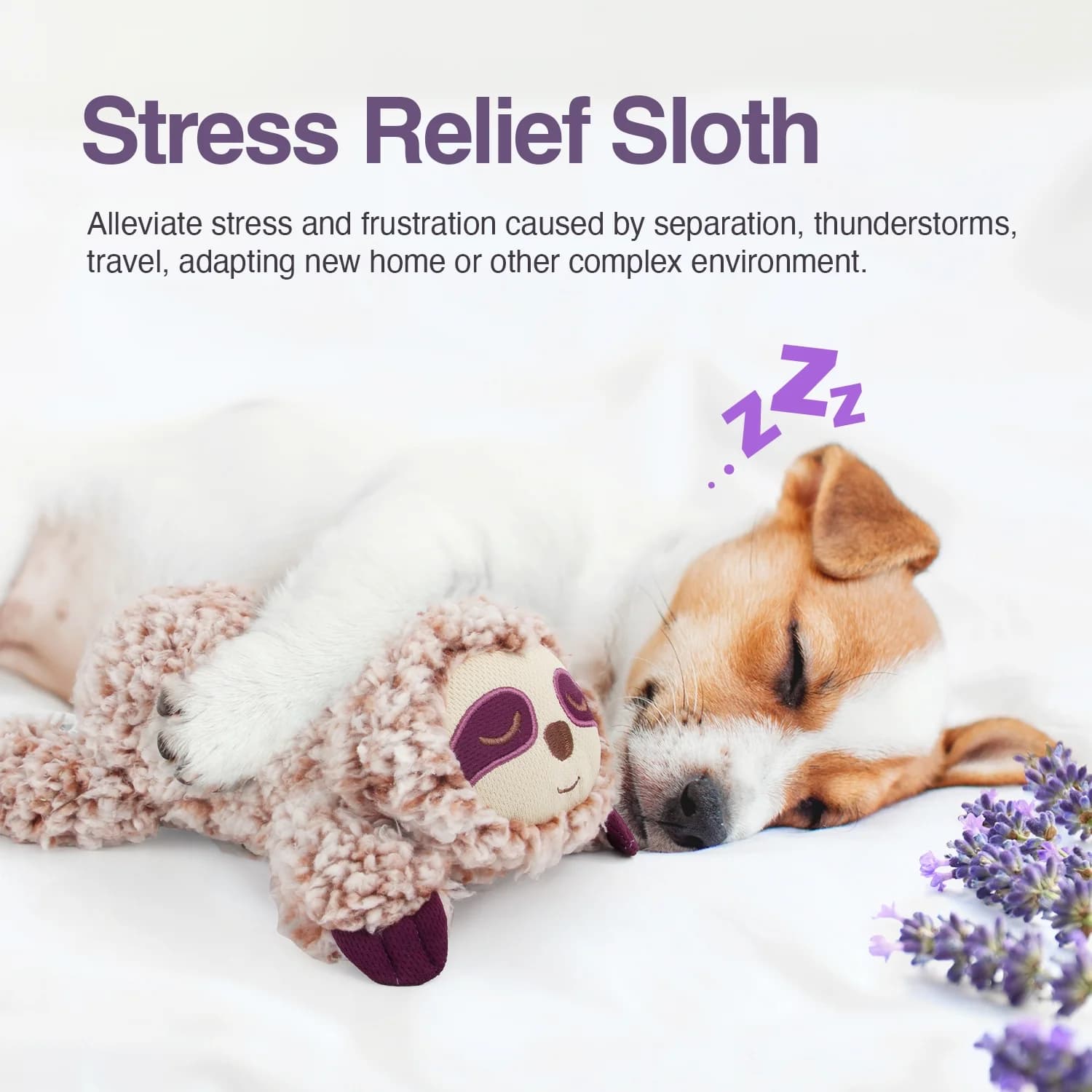 اسباب بازی سگ تنبل درختی با رایحه لوندر ای اف پی Lavender Scent Sloth — تصویر ۵